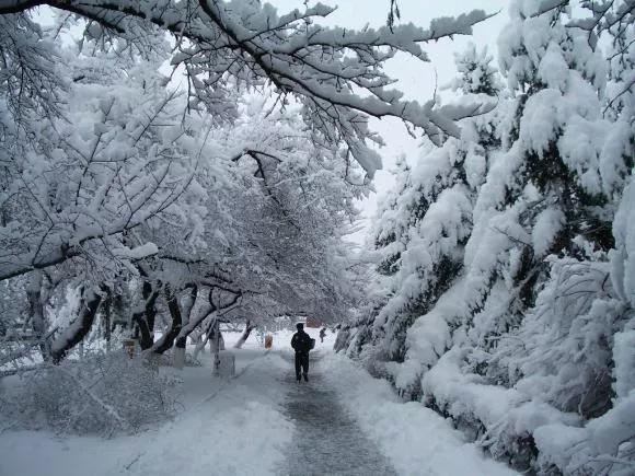 延边三中是重点高中吗,吉林延边第一中学简介