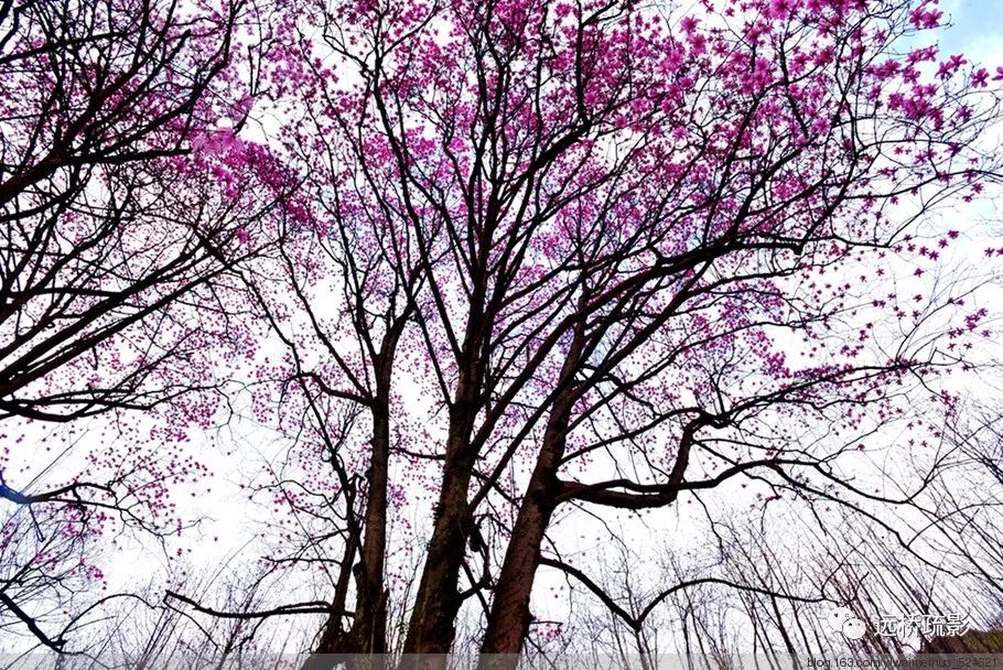 药王谷里觅旧迹（原图文）