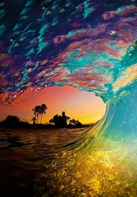 没有人可以放弃你自己,永远也不要放弃你自己