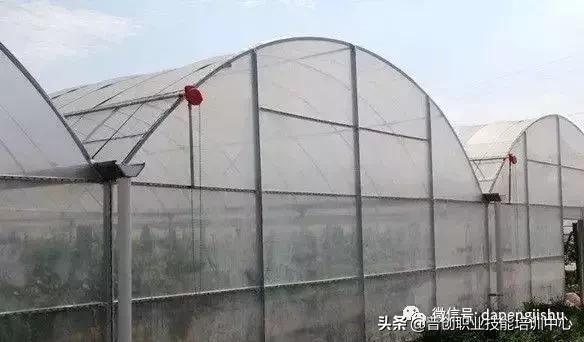 建一个温室大棚大概需要多少人工,温室大棚建造前景
