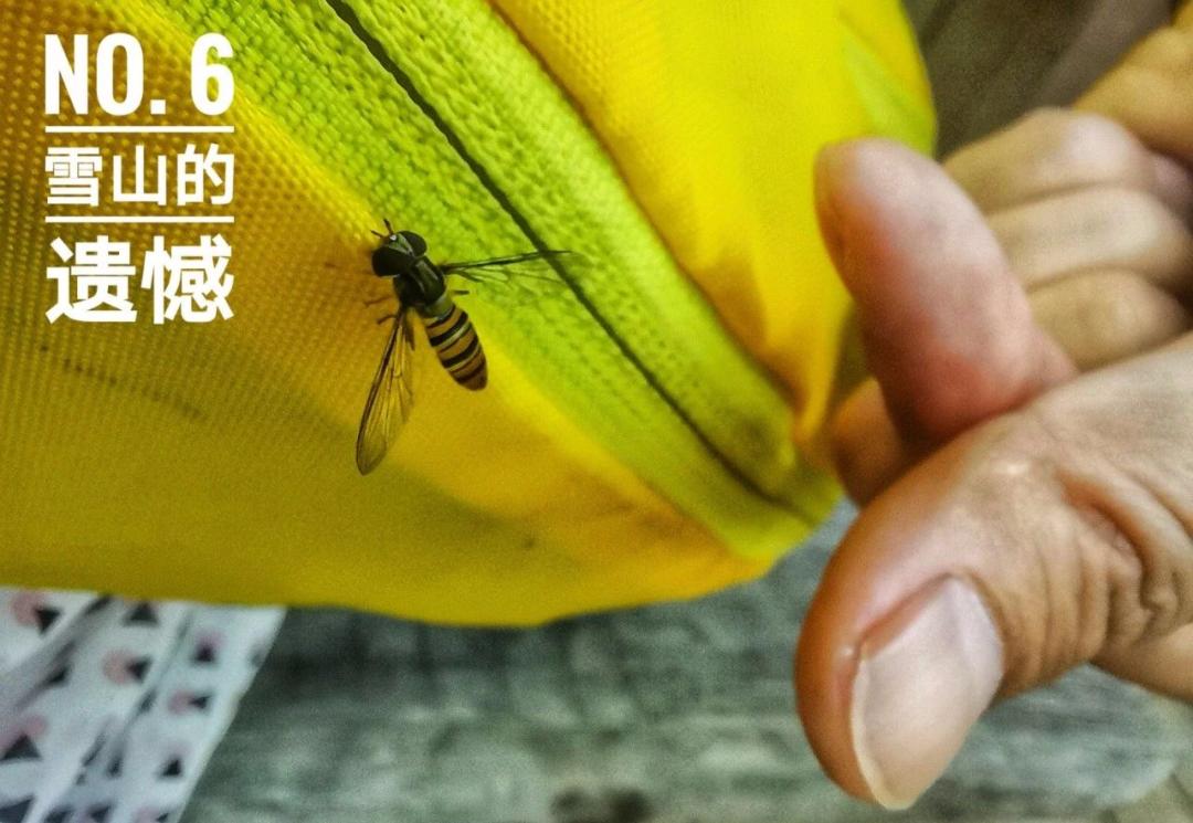 背上小猪去旅行（第一季）自驾穿越中国｜雪山的遗憾