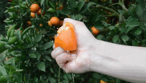 鲜榨橙汁的做法100毫升,破壁机鲜榨橙汁的做法