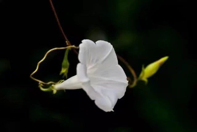 心理学通过穿衣服颜色看穿一个人,心理学怎样用颜色看透人心