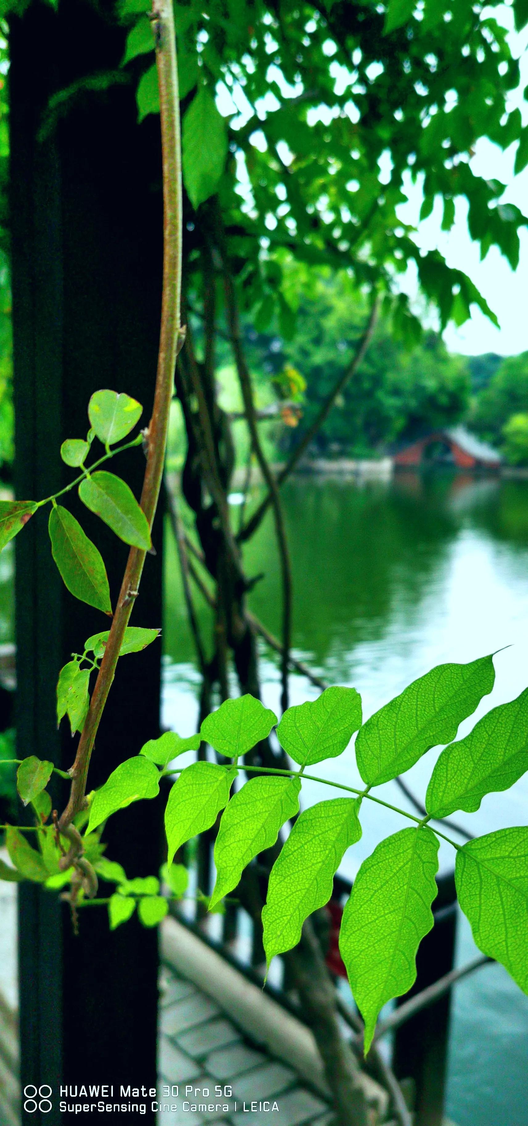 涓滆帪鑾炲煄鍙洯,涓滆帪鑳滄櫙鏃呮父