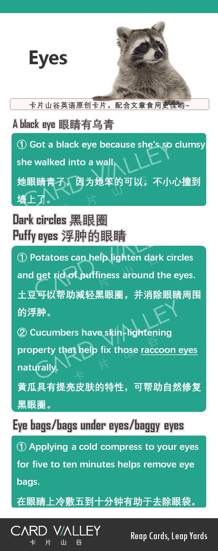 黑眼睛是不是黑瞎子,黑眼睛就是黑瞎子吗