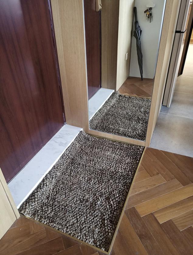 年轻人一人一猫的独居生活,一屋一人一猫的生活视频