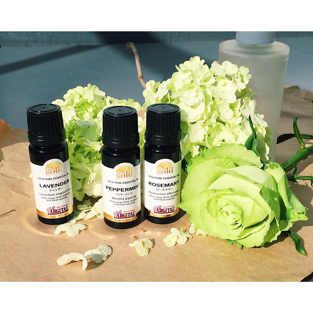 GETOUT！没完没了的霉菌