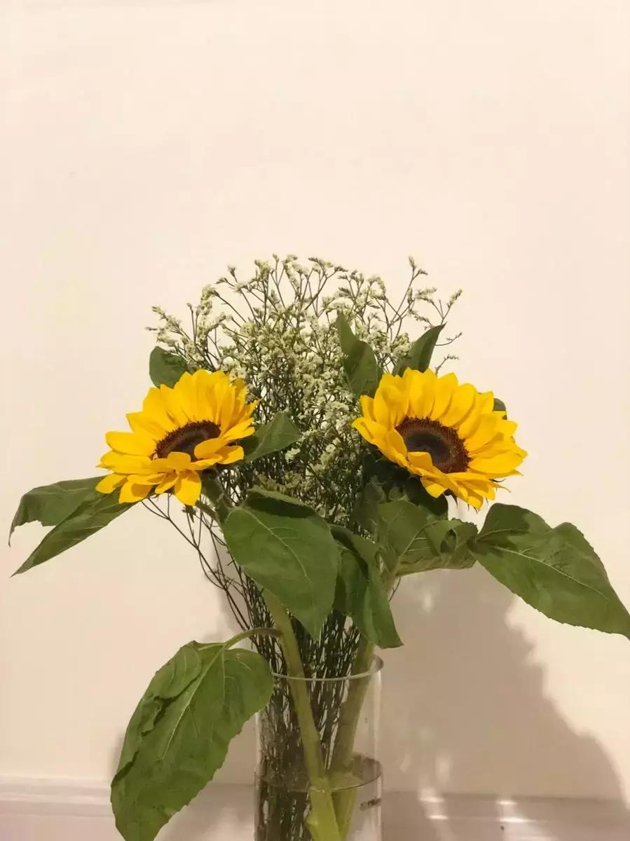 不考虑收入和面子最想做什么工作,如果不考虑收入最想做什么工作