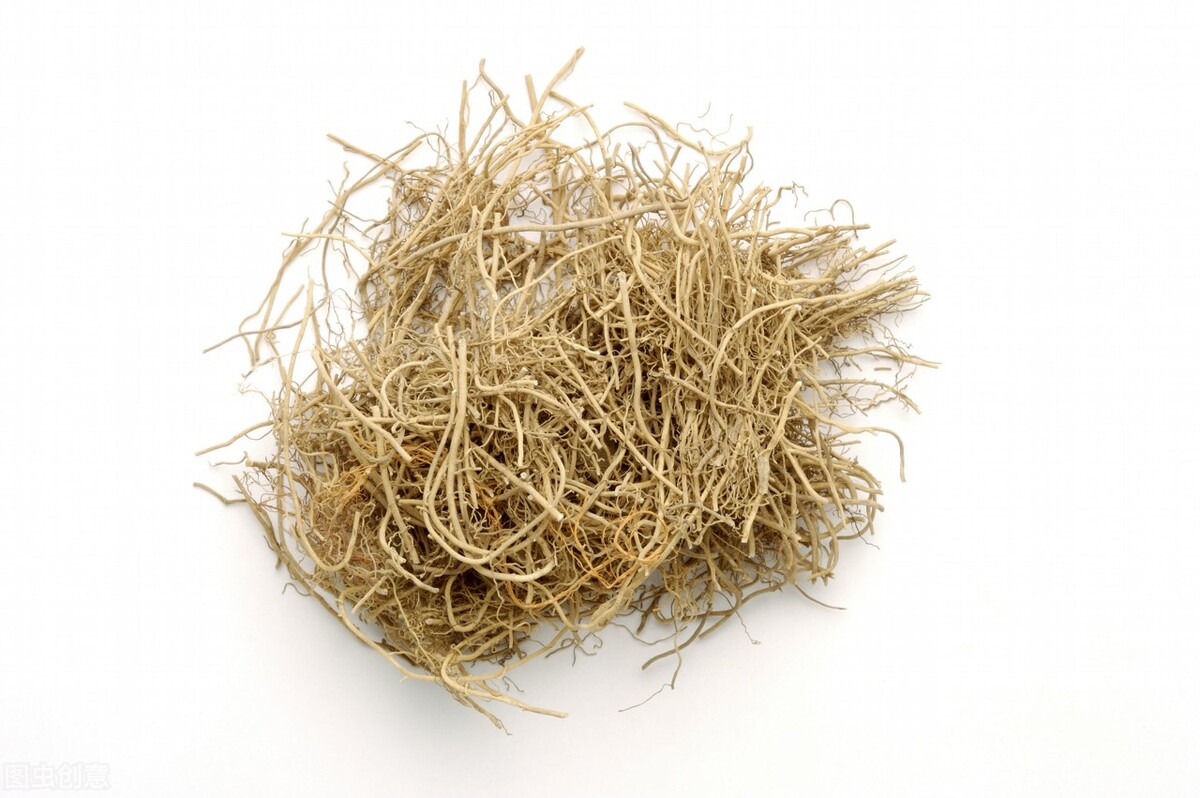 细辛的配方与剂量,细辛经方讲解