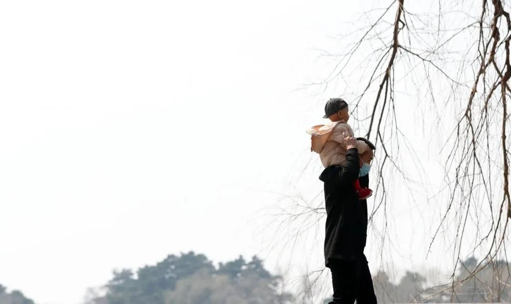 长春街头今天视频,长春街头多了一道靓丽风景线