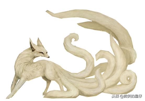 阴阳师玉藻前大舅,阴阳师玉藻前是男是女