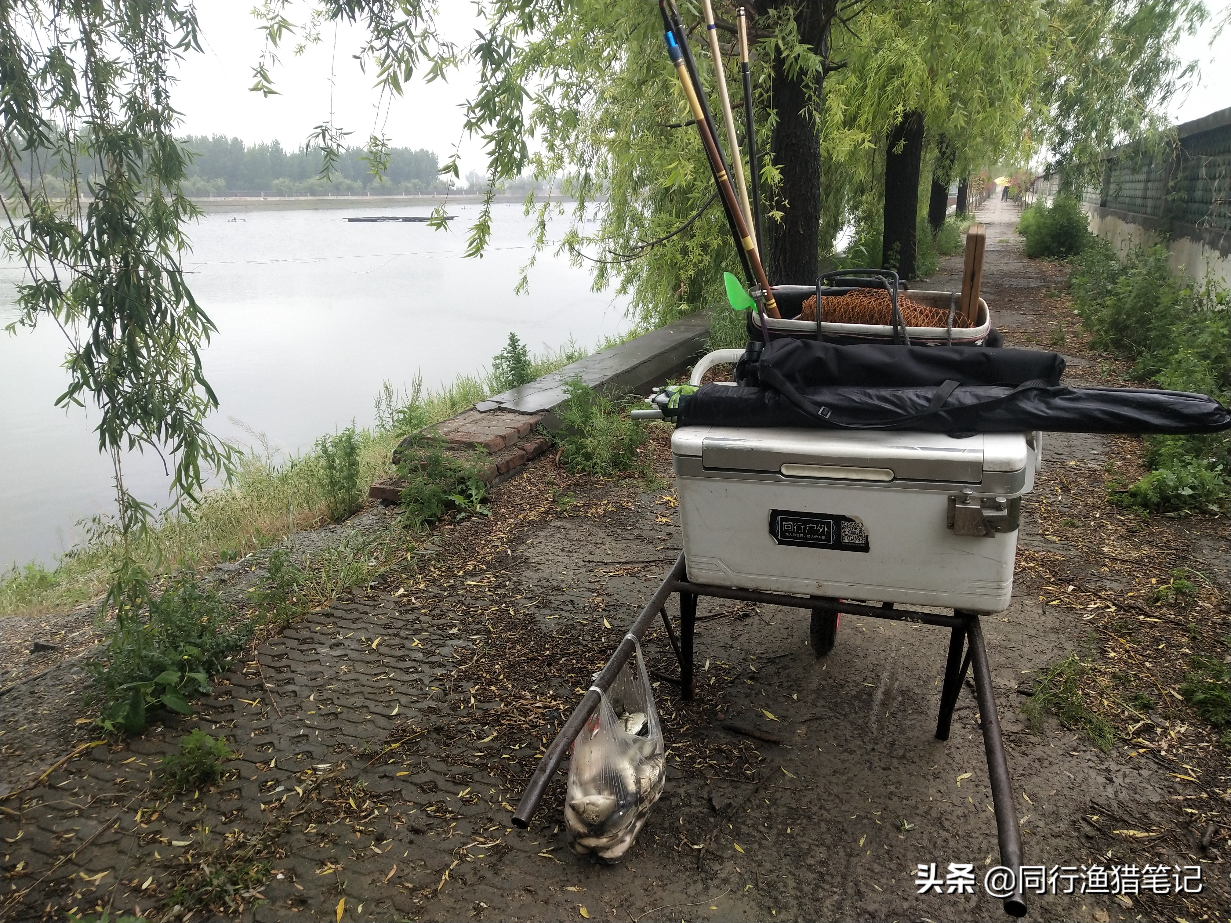 购买鱼竿的十大坑,鱼竿的五大误区