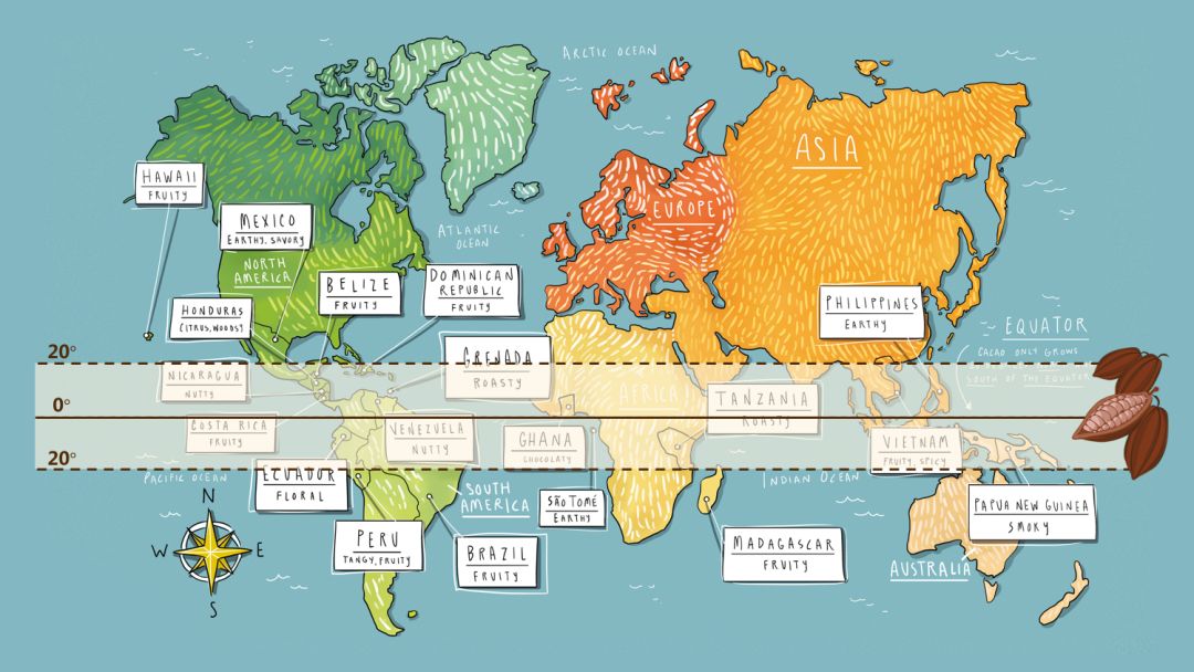 1分钟带你了解巧克力,巧克力科普类视频