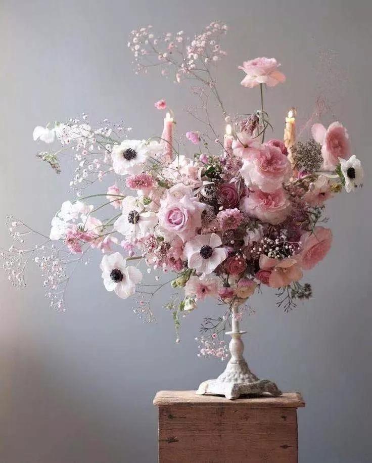 买花的套路和策略,买花的三个陷阱