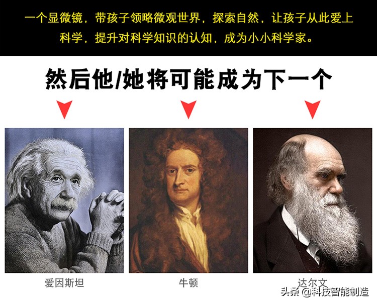 仅5名员工的企业，销售额超6亿日元，冈野雅行被赞世界第1制造人