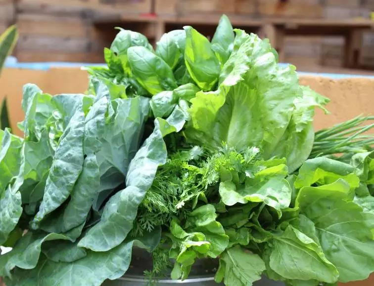 蔬菜沙拉可以用哪些酱料,蔬菜沙拉用的什么沙拉