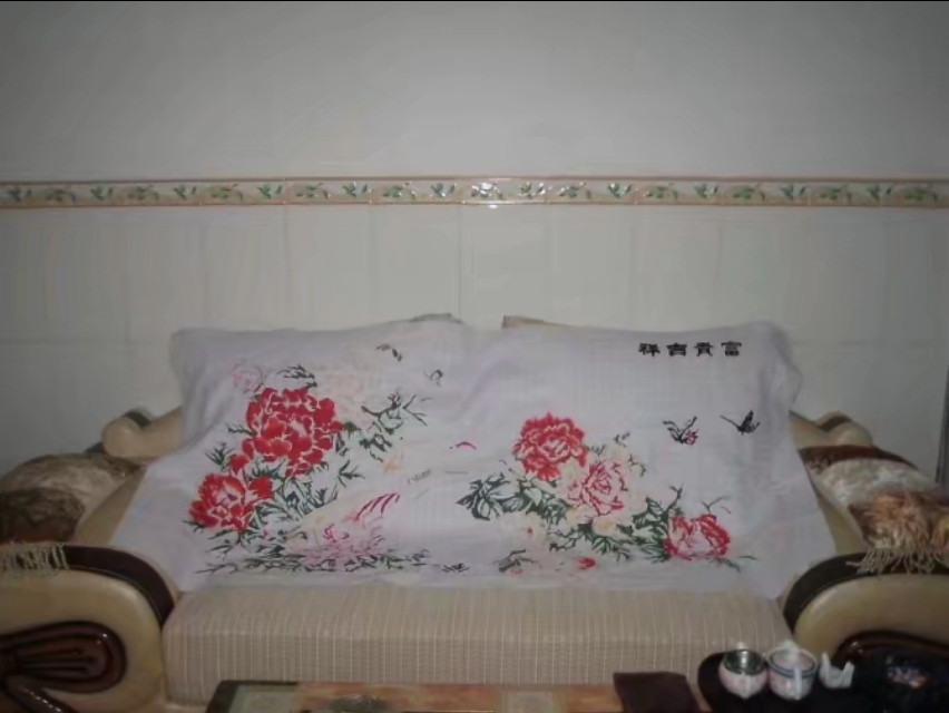 阿朋花180元买十字绣，用14个月绣好，挂在墙上整个客厅逊色起来