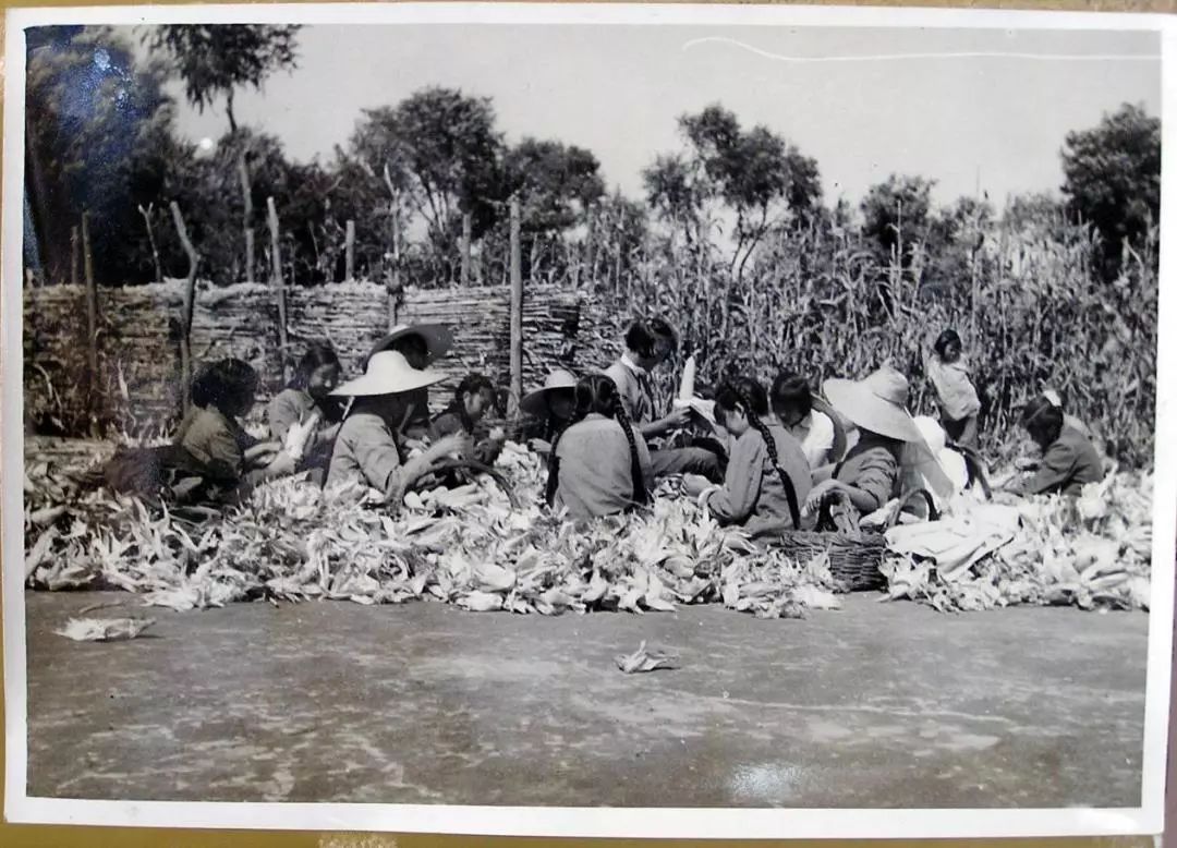 传承创新——北京市第十中学70年的成长蜕变