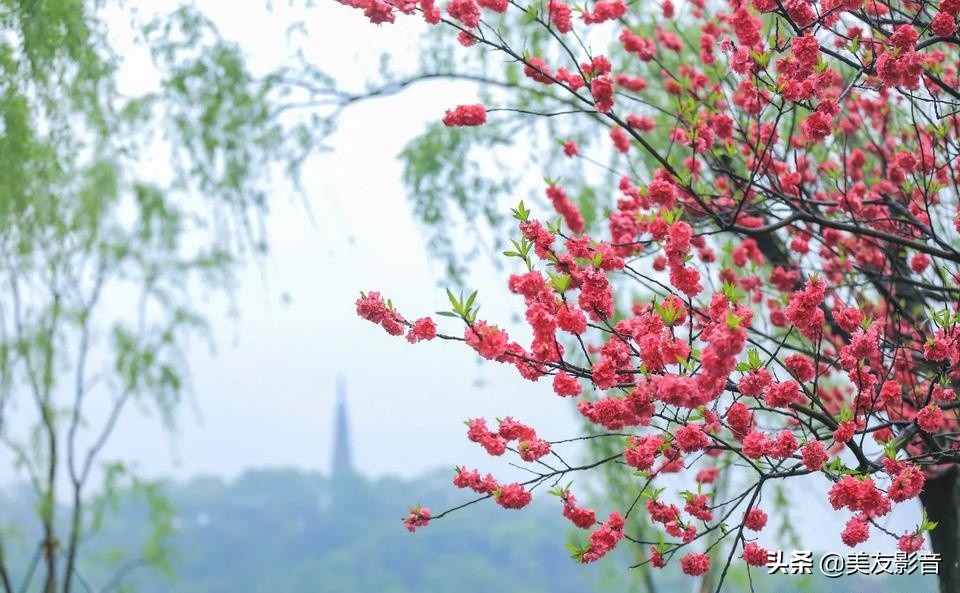 语文拓展100个容易被误用的成语,100个最常被误用的成语行测必备