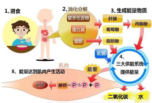 每天打球锻炼一小时一个月变化,每天坚持打球会瘦吗