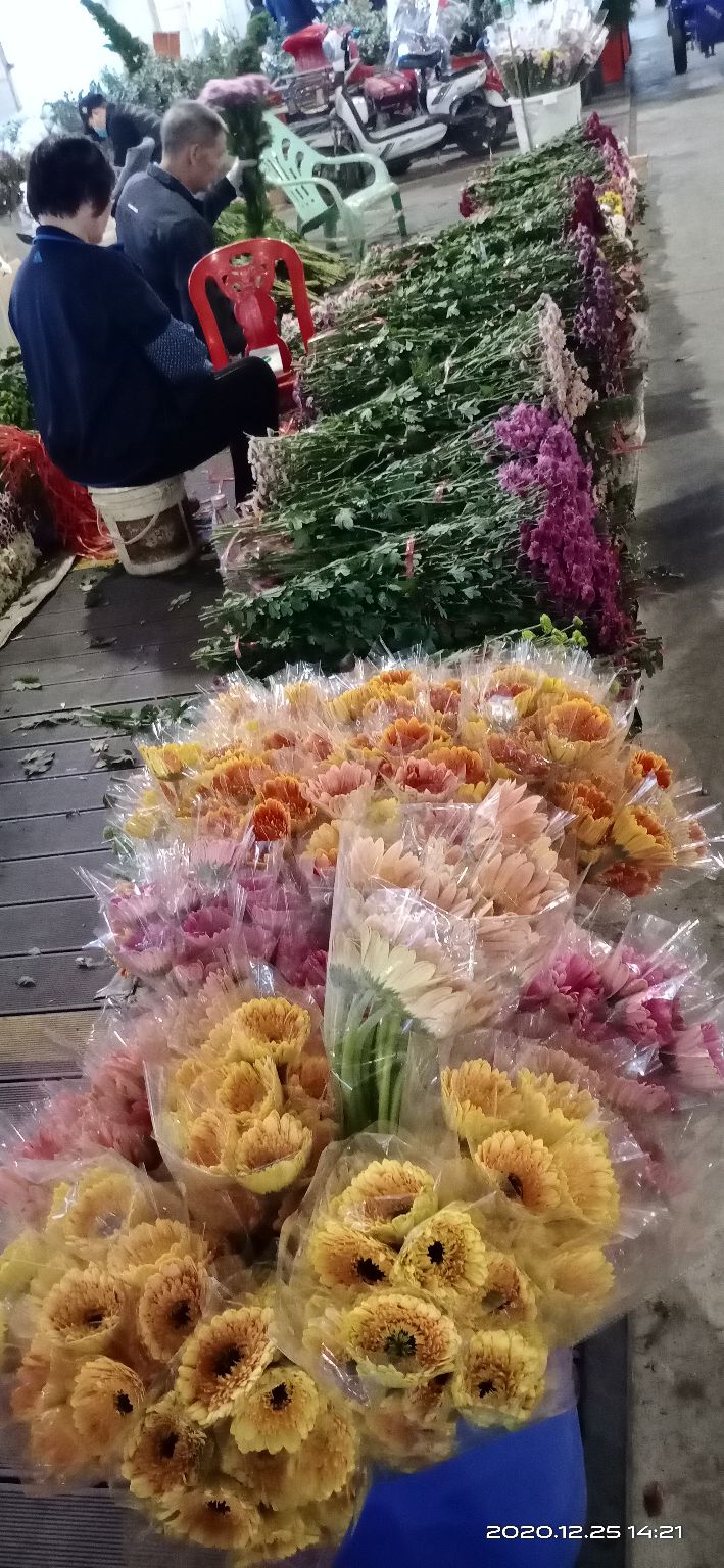 逛岭南花卉市场攻略,岭南芳村花卉批发市场游玩的美文