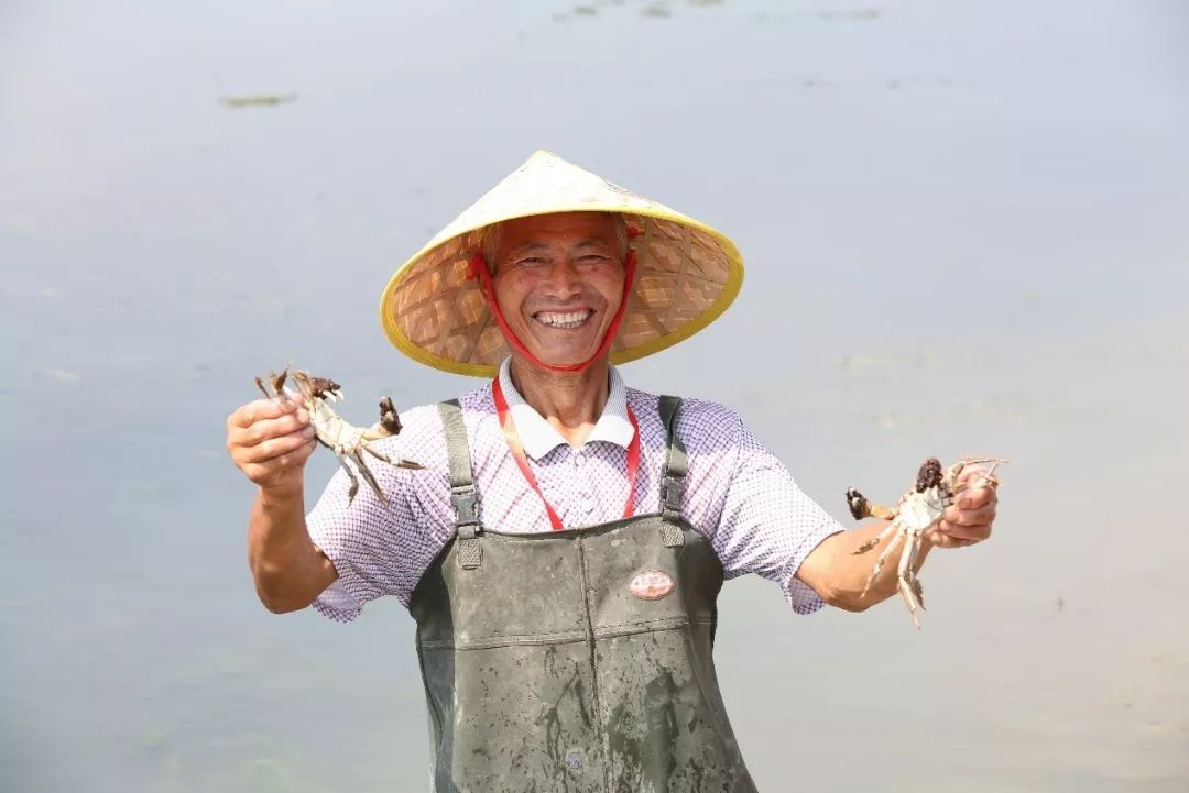 给阳澄湖大闸蟹“贴牌”的神秘小镇，夏天养螃蟹，冬天戴金链买房