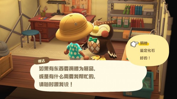 动物之森新手登录教程,动物之森新手攻略手机版