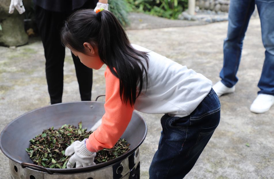 真正的台湾茶,最火的台湾茶