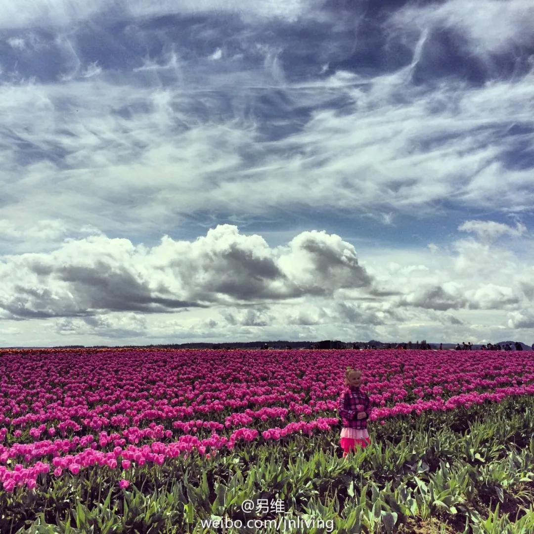 西雅图深度详细攻略,西雅图居住十年攻略