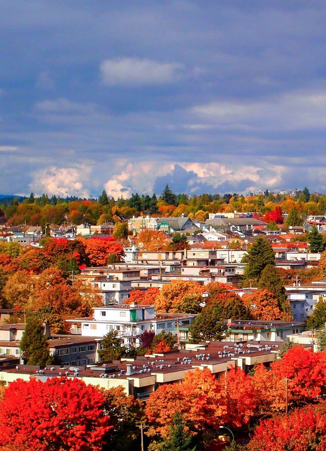 秋天的简短英文诗,关于秋天的经典英文诗