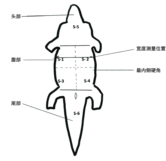 鳄鱼皮具真品图,鳄鱼皮具是真的吗