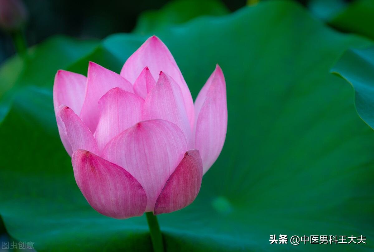 肾水枯竭中医治疗方法,肾虚手心冷出汗怎么调理