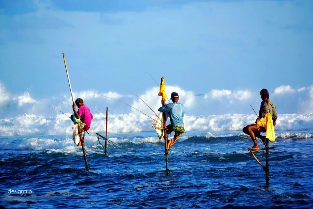 先收藏了,旅行最高境界就是满世界住安缦