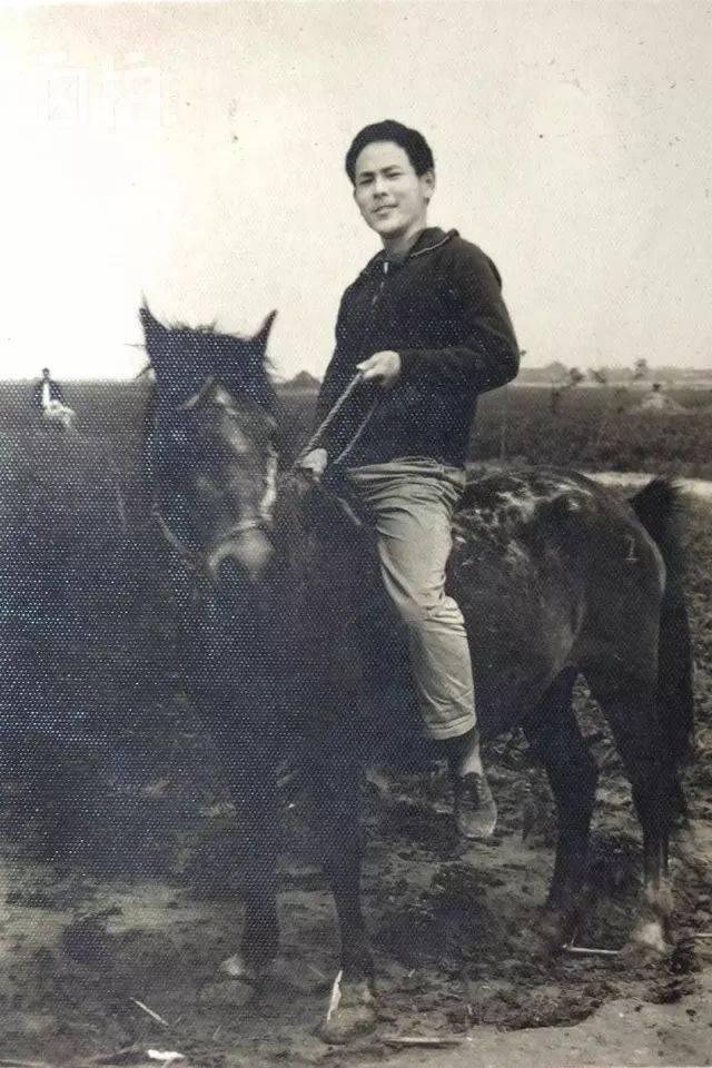 上海男去日本打黑工,上海小伙在日本打黑工15年纪录片