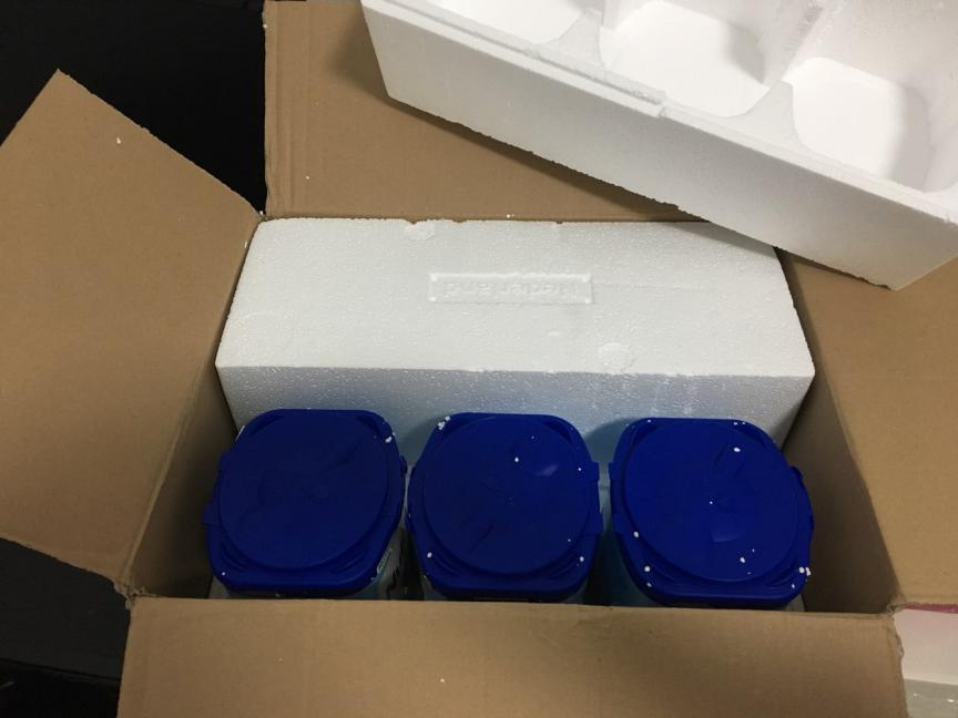 荷兰牛栏奶粉哪里可以买到正品,荷兰牛栏和德国爱他美奶粉哪个好