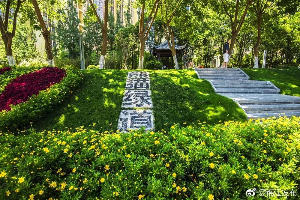 成都各个区旅游排名第一,成都市旅游景点排名最新前十