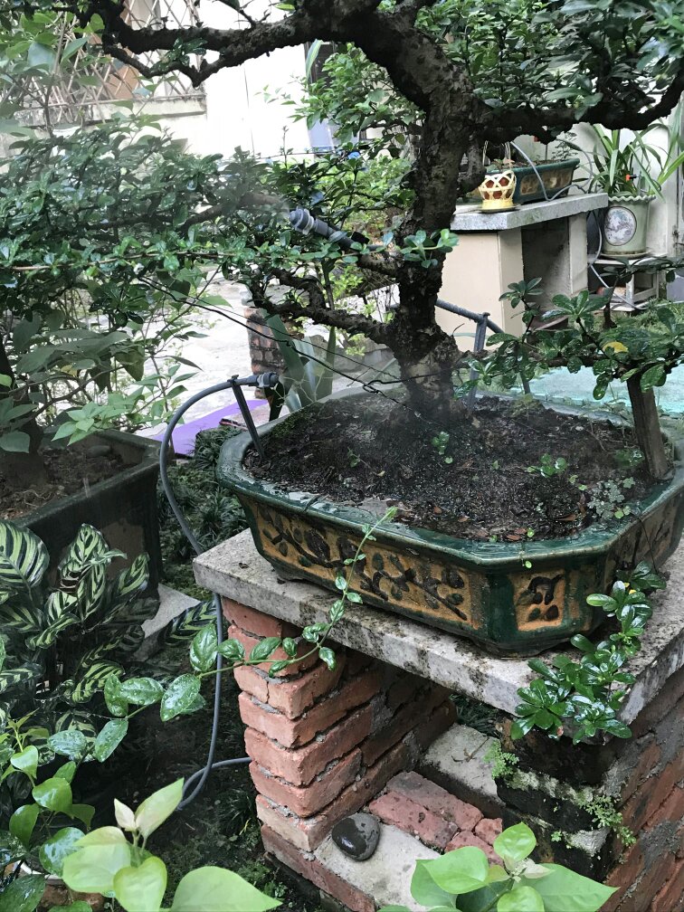 自动浇花器家用园艺智能定时控制,自动浇花器功能介绍