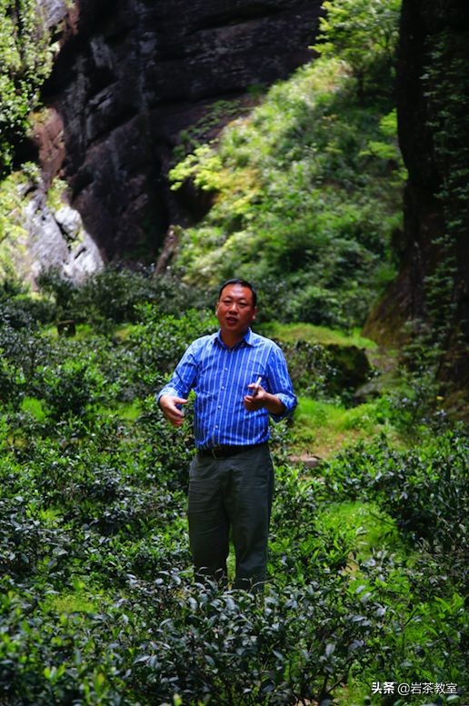 曦瓜鬼洞铁罗汉新老包装区别,曦瓜内鬼洞铁罗汉品鉴