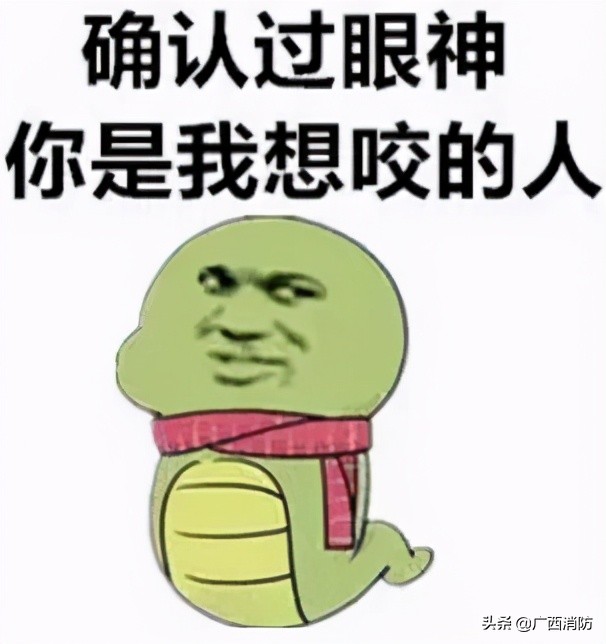 云南消防捕蛇,消防捕蛇