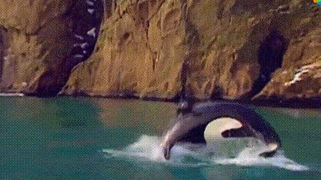 被囚34年取精，被迫亲手杀死爱子，最后只能挣扎着死去……