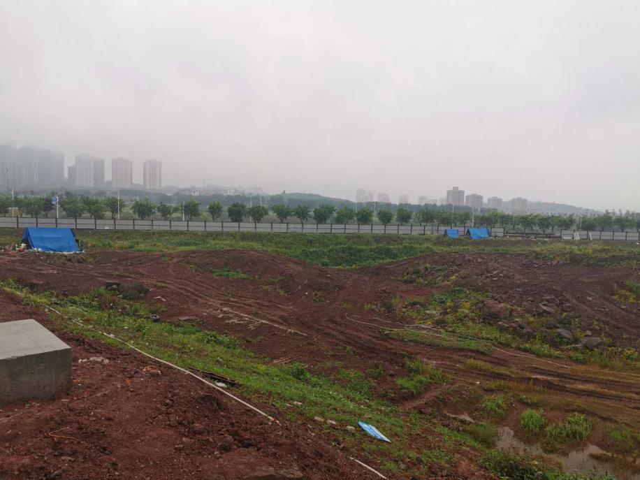 重庆龙兴专业足球场施工,龙兴足球场工地最新进度