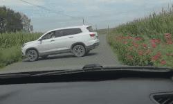 揭秘互联网比较常见的网赚骗局,知识分享割韭菜新套路