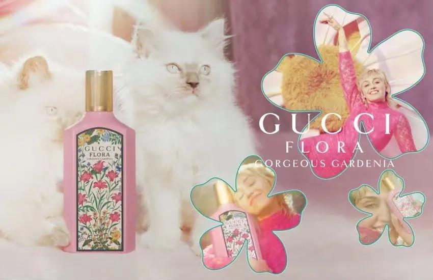 gucci美妆店直播,gucci美妆专柜苏州