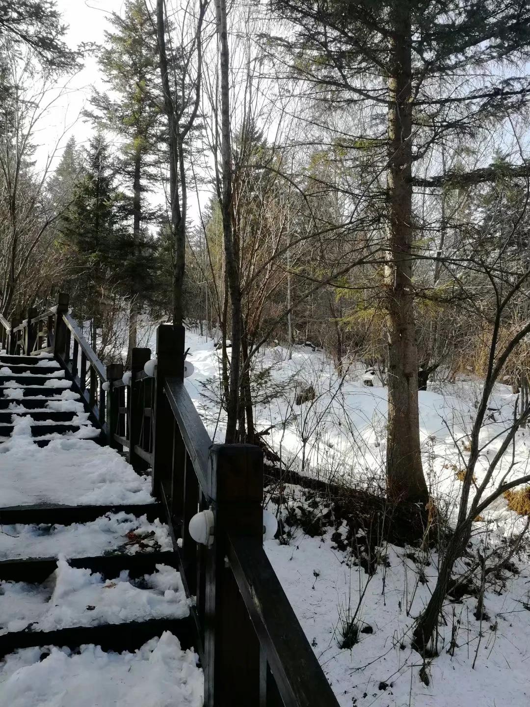 小小双峰冷凝紫气，壮美山河雪掩行踪