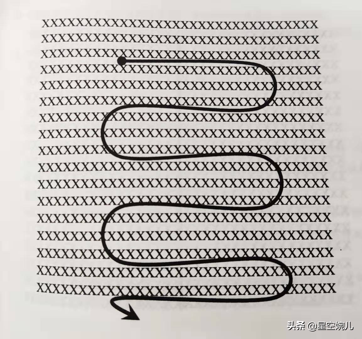 如何成为学霸秘诀,如何成为一名学霸的方式