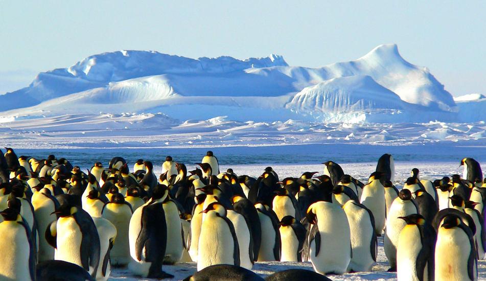 关于爱情的真心话100个问题扎心,关于爱情的101个真心话完整