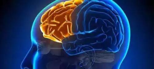 抑郁症是神经出现了问题吗,抑郁了是不是大脑感知能力下降了