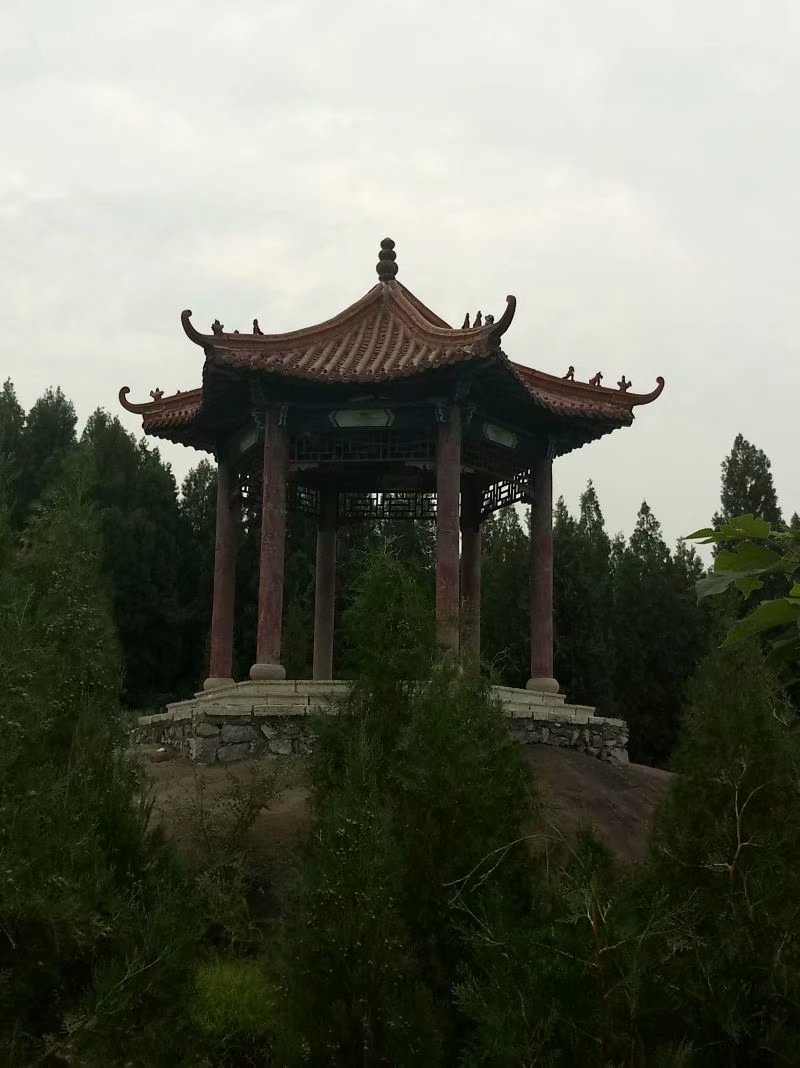 秋天的杨府山公园,秋天的泉山森林公园