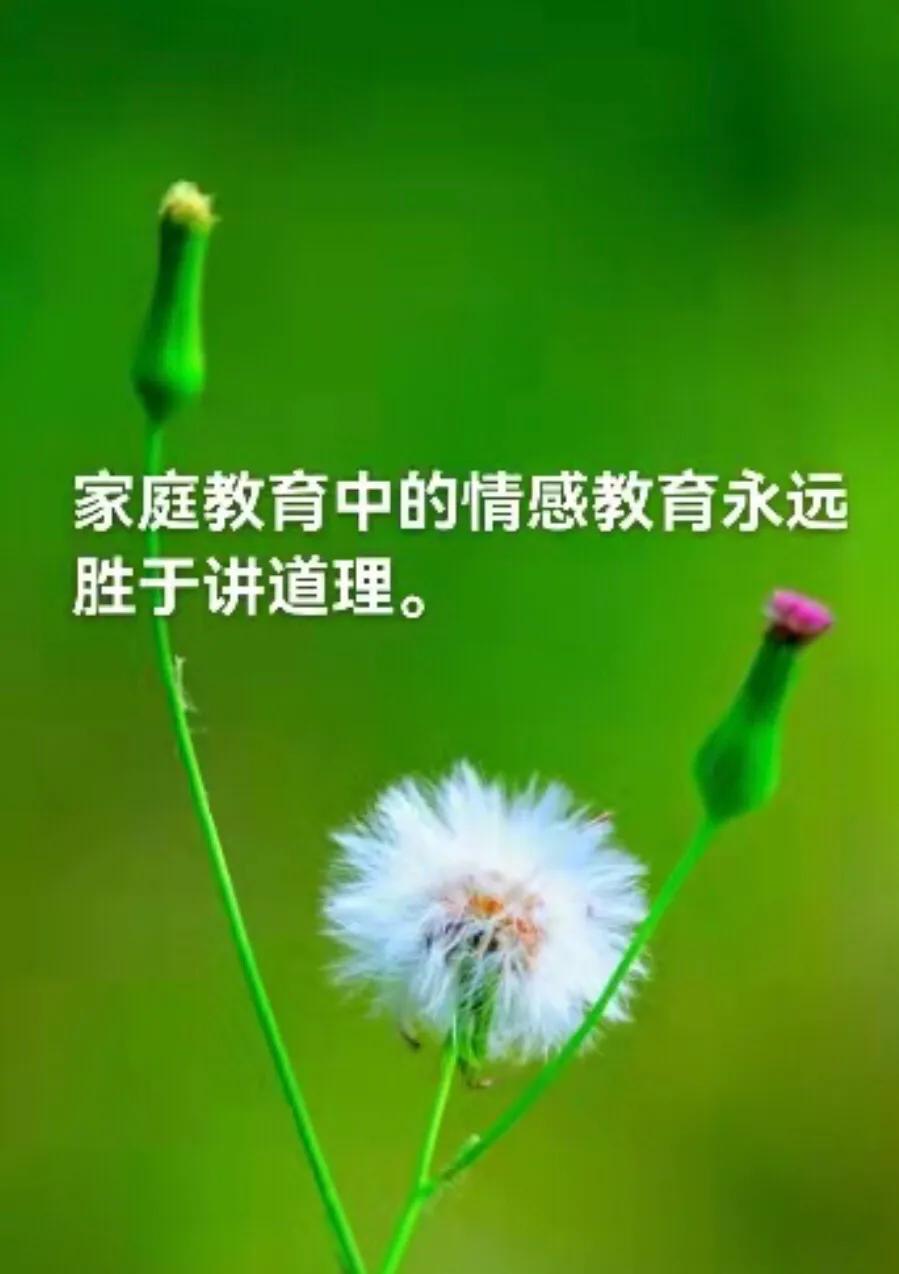 犹太人家庭教育成功秘密,犹太人的教育方法和技巧