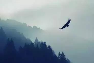 孔子做人三句名言,孔子道经德经